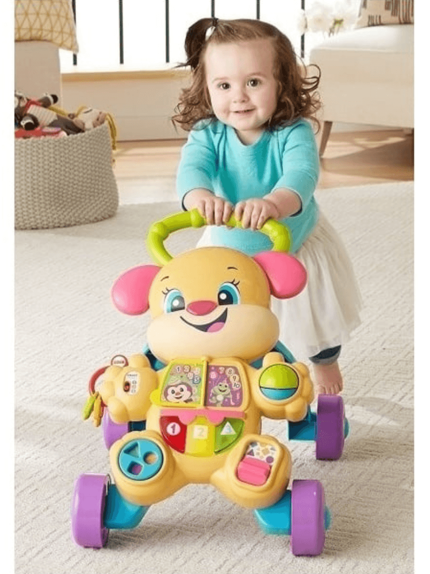 Mattel fisher-price εκπαιδευτική στράτα σκυλάκι smart stages ροζ ftc68 - Fisher-Price