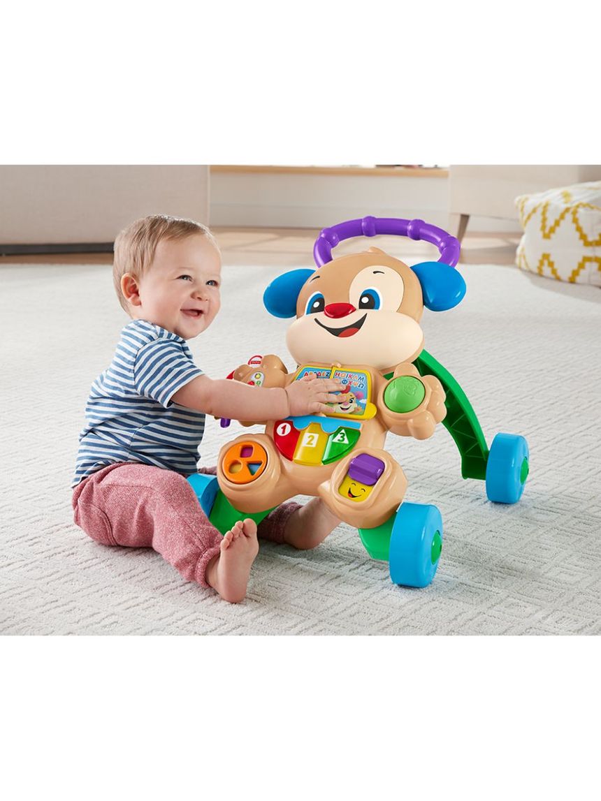 Mattel fisher-price εκπαιδευτική στράτα σκυλάκι smart stages ftc66 - Fisher-Price
