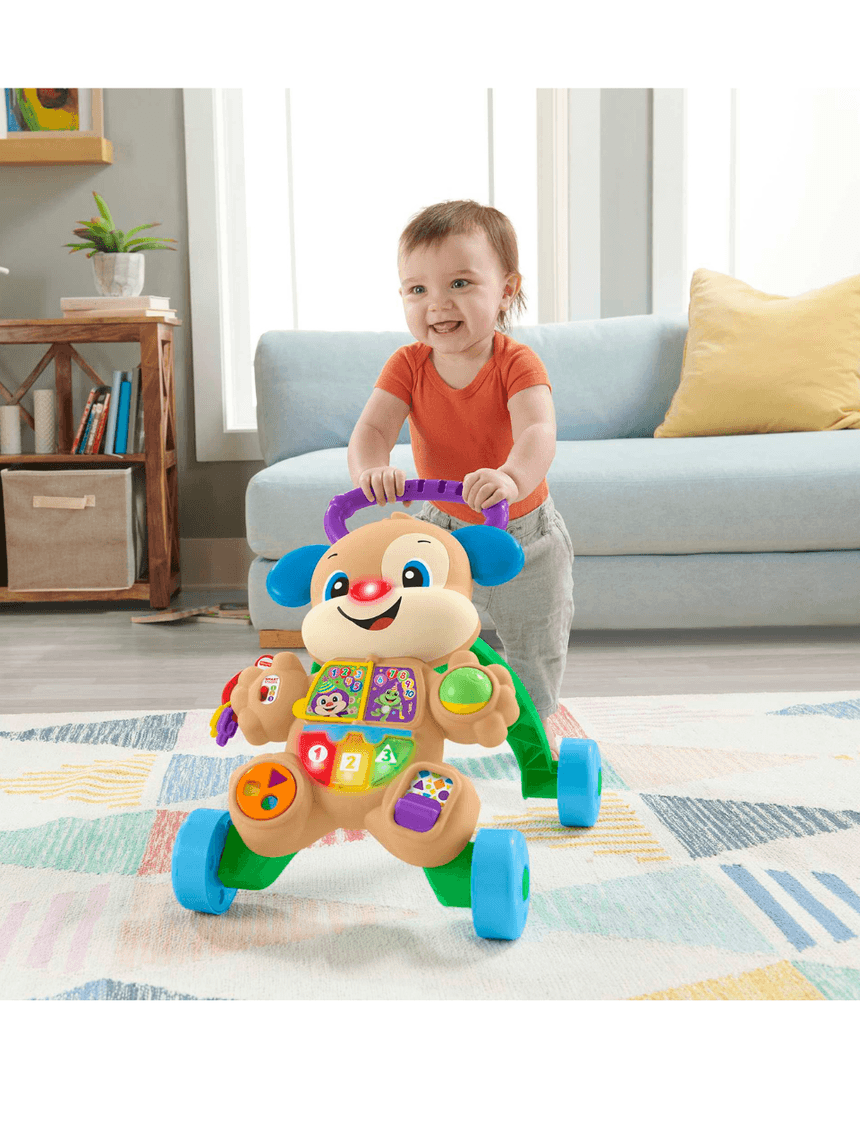 Mattel fisher-price εκπαιδευτική στράτα σκυλάκι smart stages ftc66 - Fisher-Price