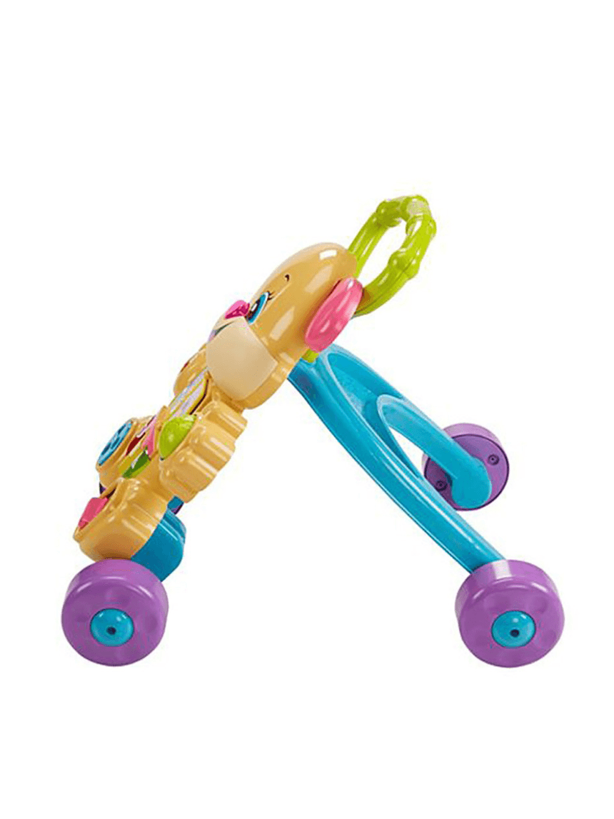 Mattel fisher-price εκπαιδευτική στράτα σκυλάκι smart stages ροζ ftc68 - Fisher-Price