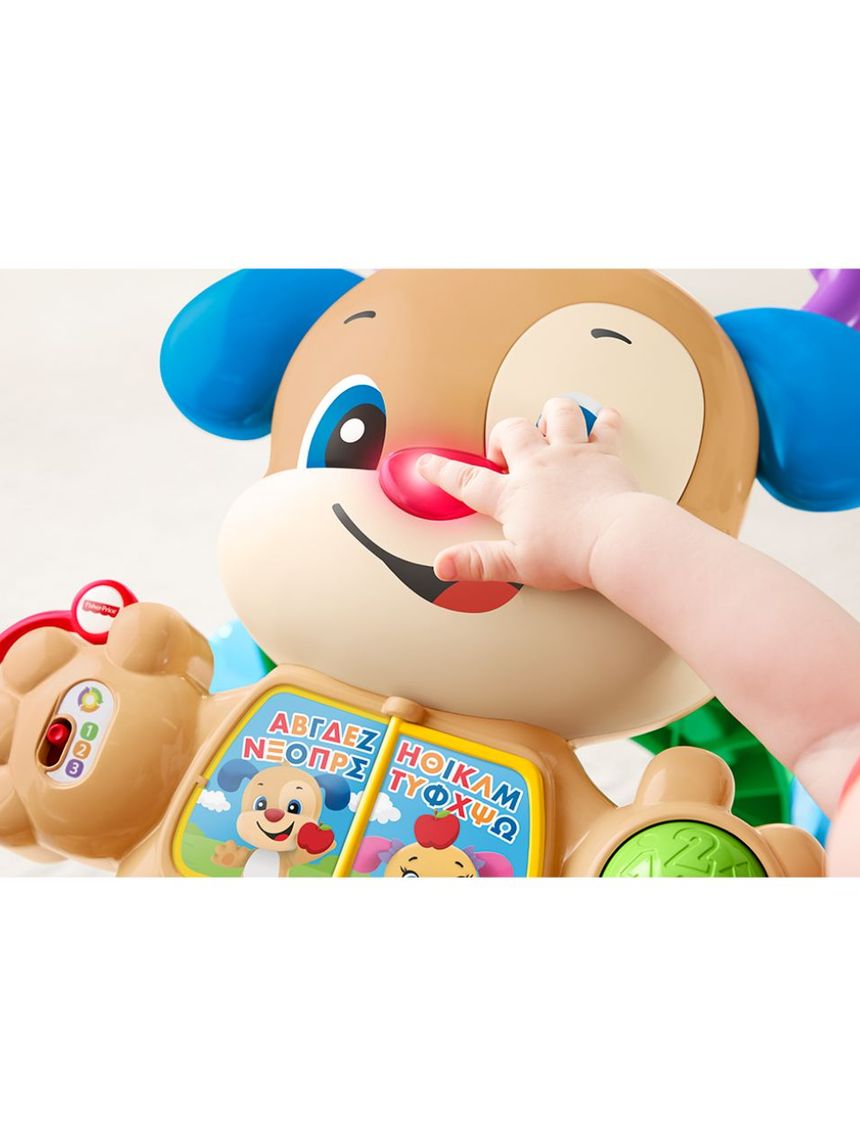 Mattel fisher-price εκπαιδευτική στράτα σκυλάκι smart stages ftc66 - Fisher-Price
