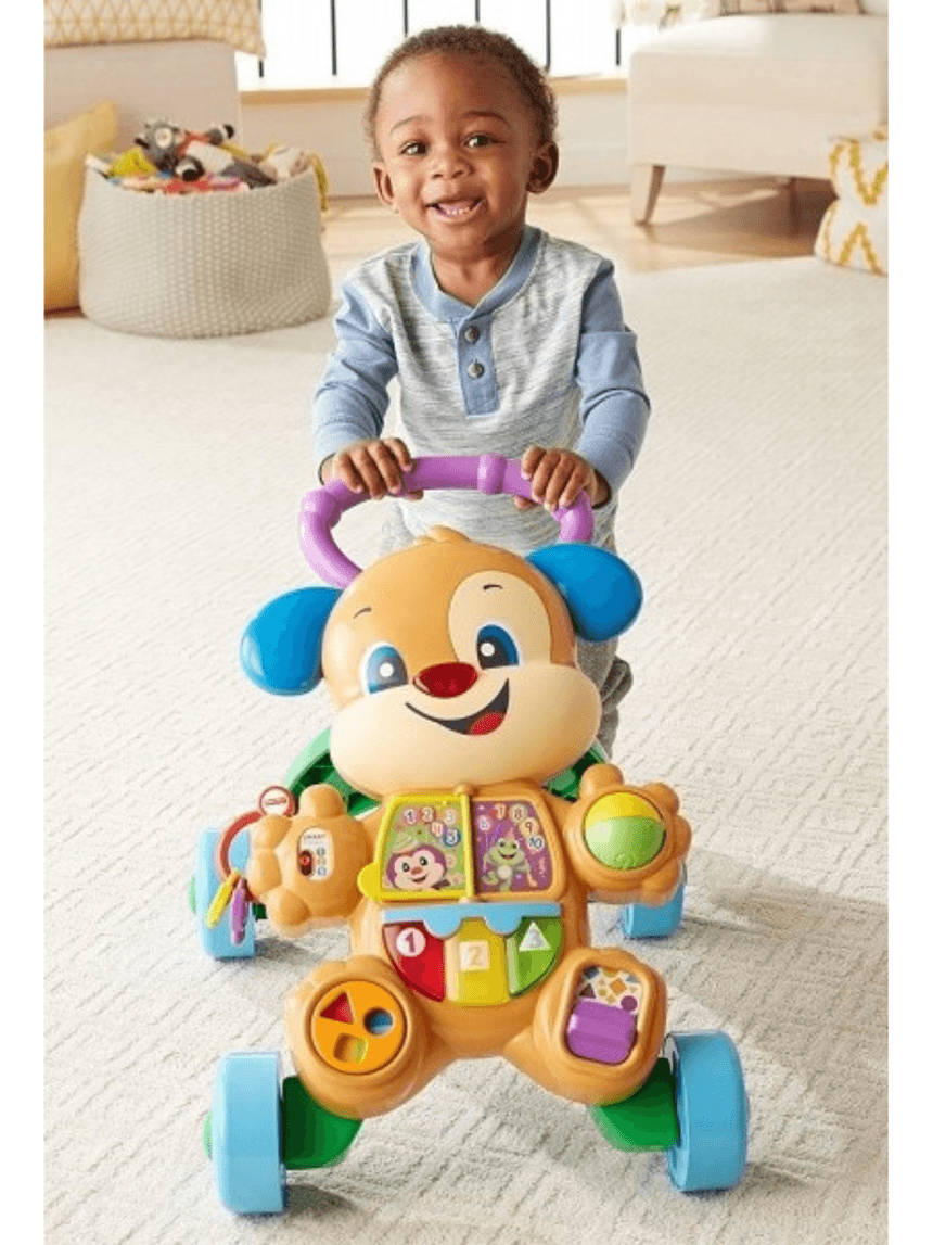 Mattel fisher-price εκπαιδευτική στράτα σκυλάκι smart stages ftc66 - Fisher-Price