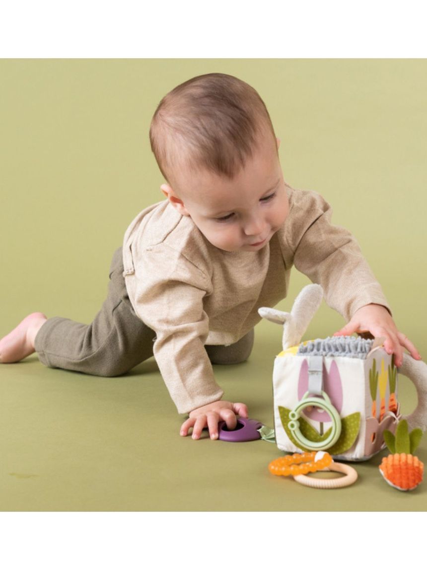 Taf toys urban garden κύβος δραστηριοτήτων t-13095 - Taf-toys