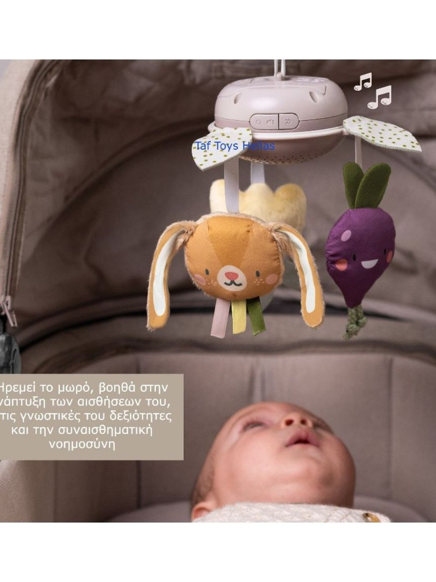 Taf toys μουσικό περιστρεφόμενο mobile garden take along t-13275 - Taf-toys
