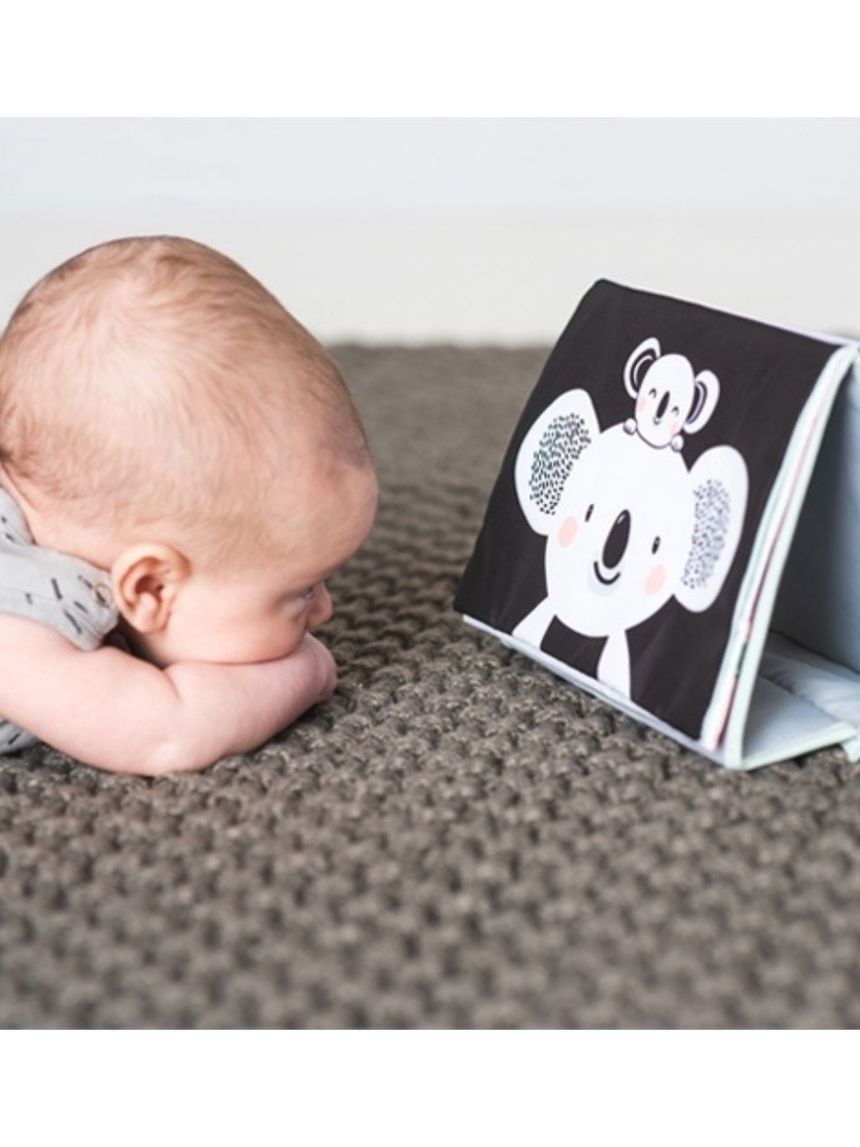 Taf toys tummy time toys high contrast baby book t-12395 - Taf-toys