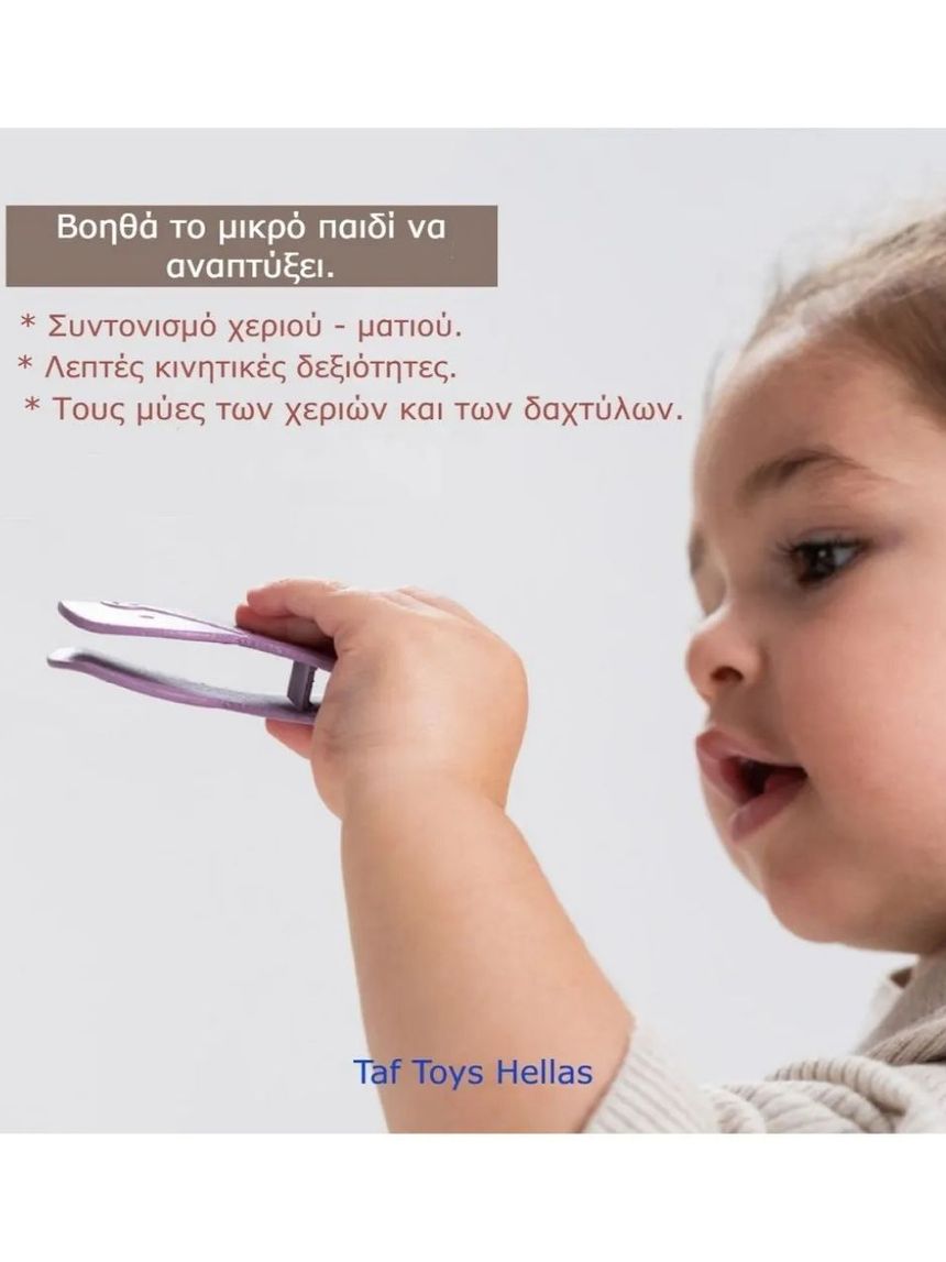 Taf toys παιχνίδι δραστηριοτήτων match & count bunny toy t-13215 - Taf-toys