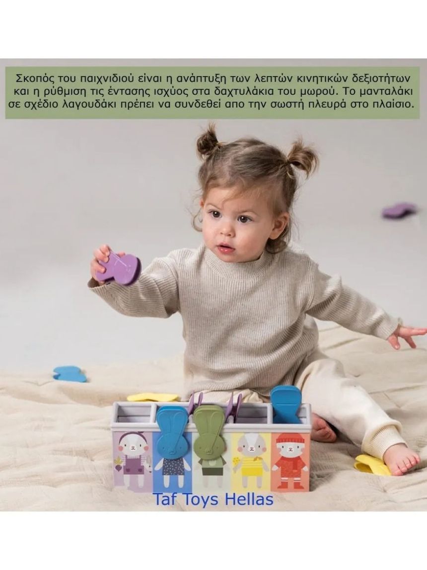 Taf toys παιχνίδι δραστηριοτήτων match & count bunny toy t-13215 - Taf-toys