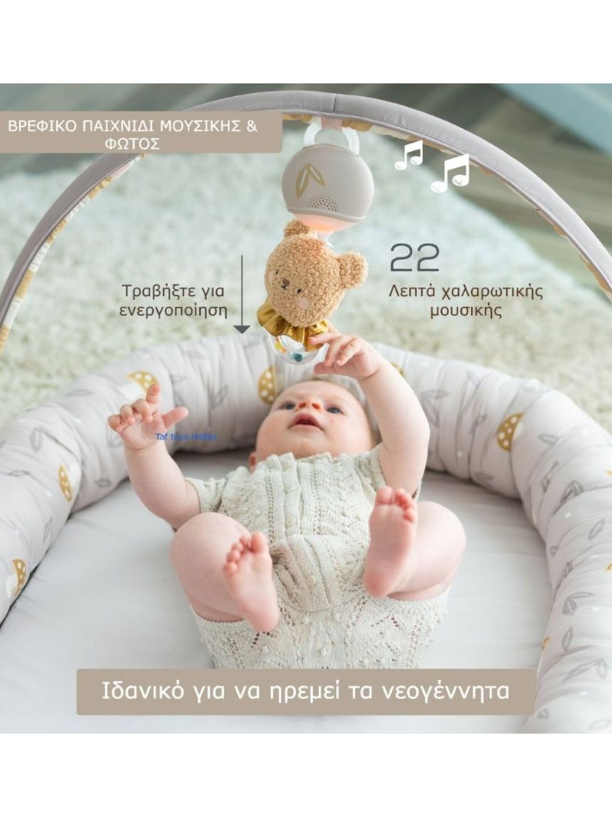 Taf-toys little explorer lounger t13785 - Taf-toys