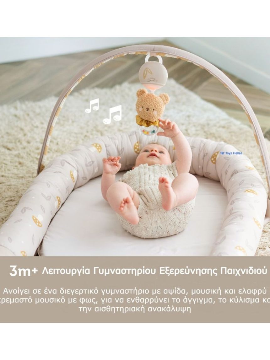 Taf-toys little explorer lounger t13785 - Taf-toys