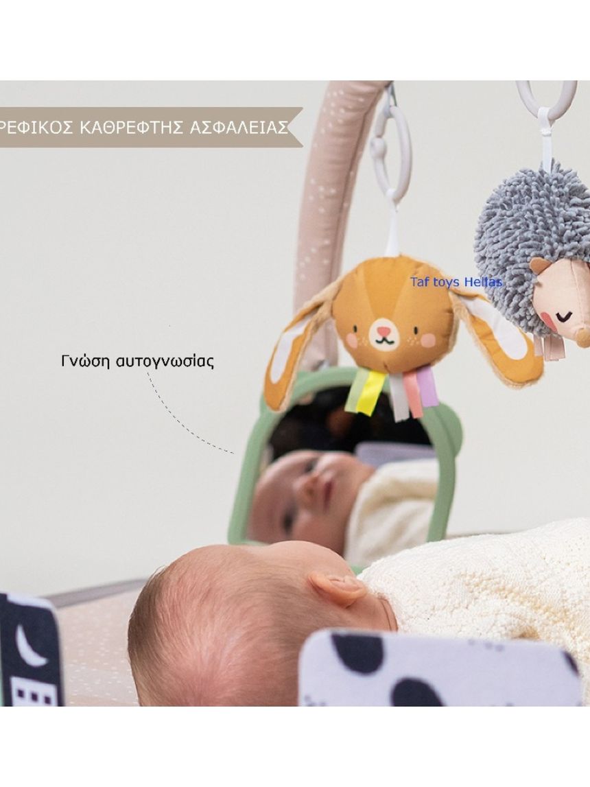 Taf-toys tummy time play gym t-13395 - Taf-toys