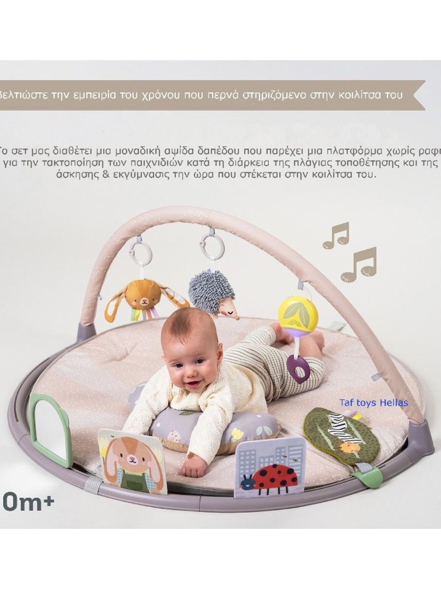 Taf-toys tummy time play gym t-13395 - Taf-toys