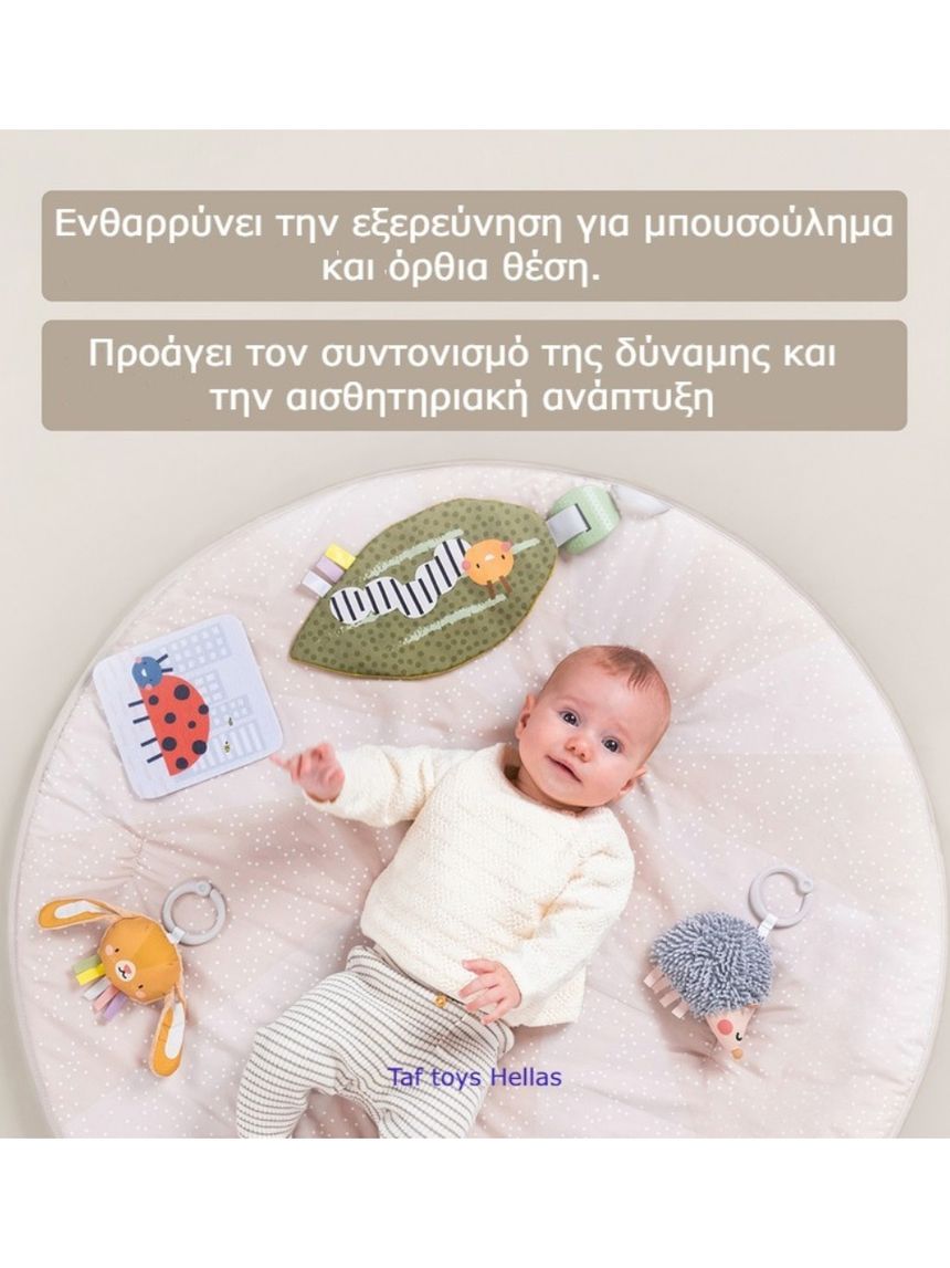Taf-toys tummy time play gym t-13395 - Taf-toys