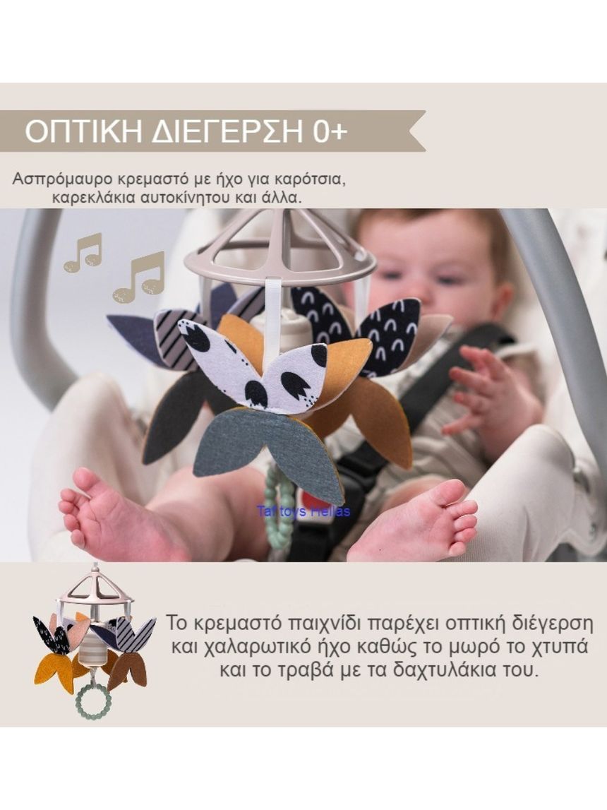 Taf-toys newborn black & white kit t-13475 - Taf-toys