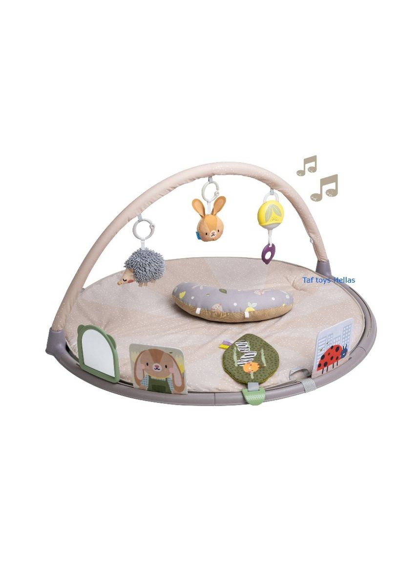 Taf-toys tummy time play gym t-13395 - Taf-toys