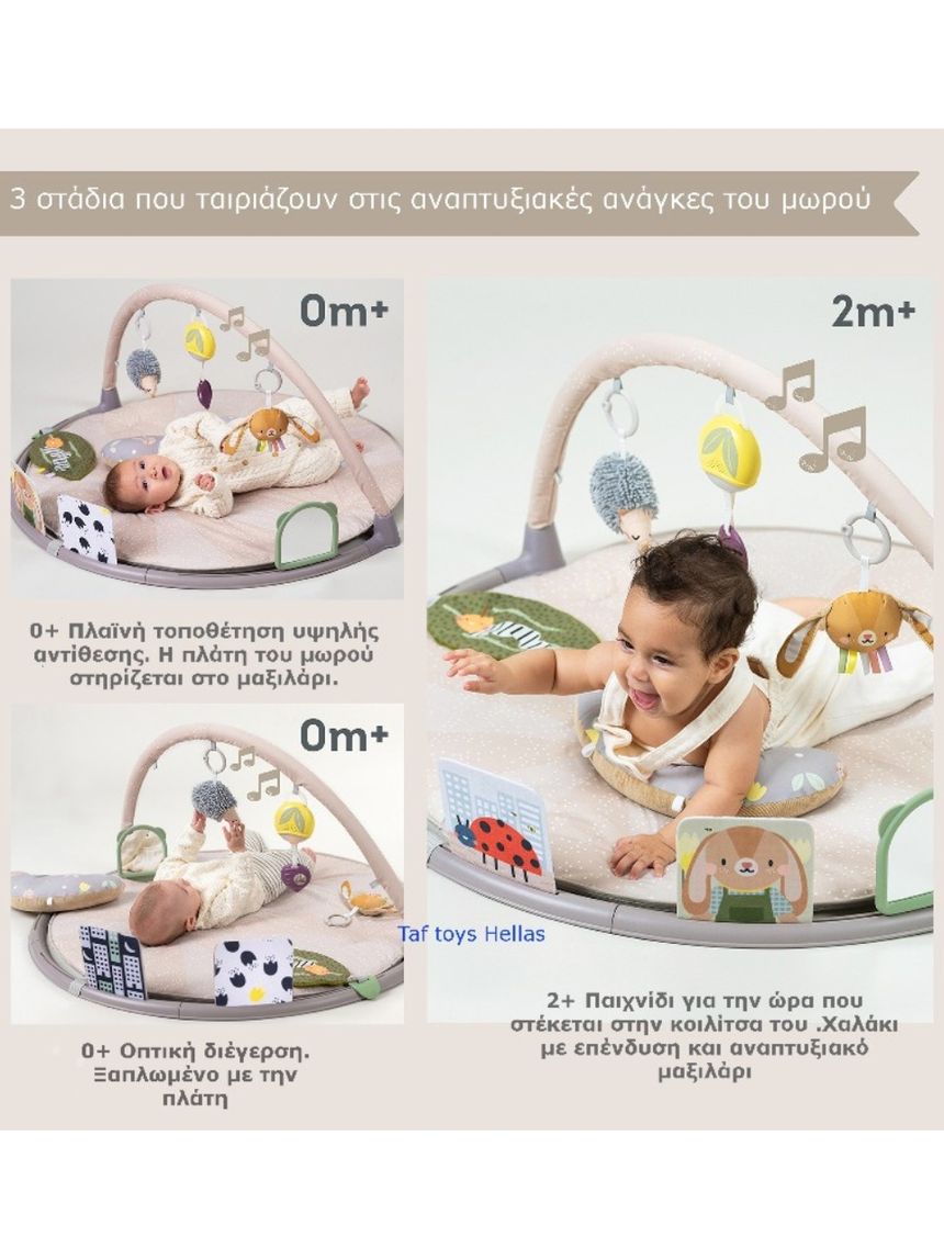 Taf-toys tummy time play gym t-13395 - Taf-toys