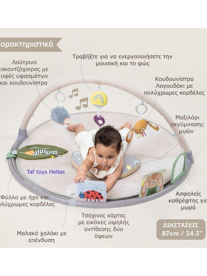 Taf-toys tummy time play gym t-13395 - Taf-toys