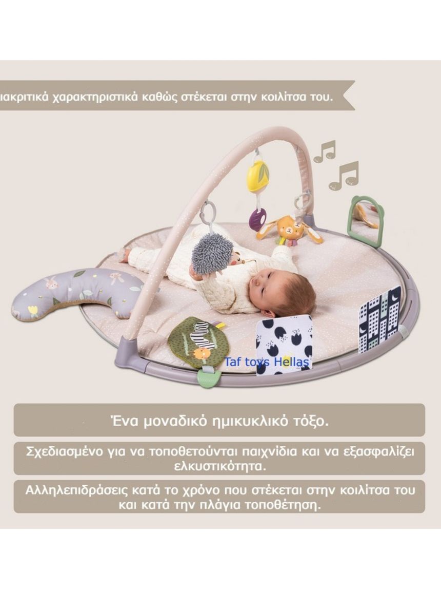 Taf-toys tummy time play gym t-13395 - Taf-toys