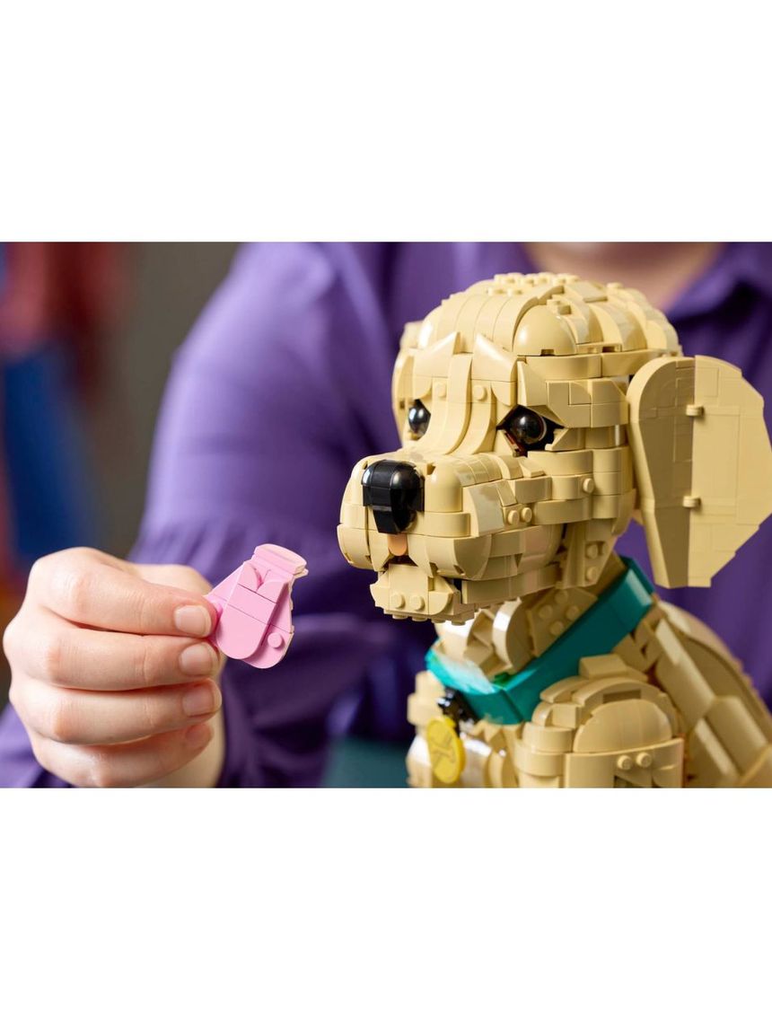 Lego icons golden retriever puppy 11384 - LEGO, LEGO Icons