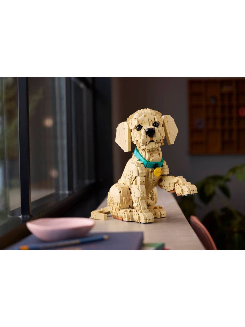 Lego icons golden retriever puppy 11384 - LEGO, LEGO Icons