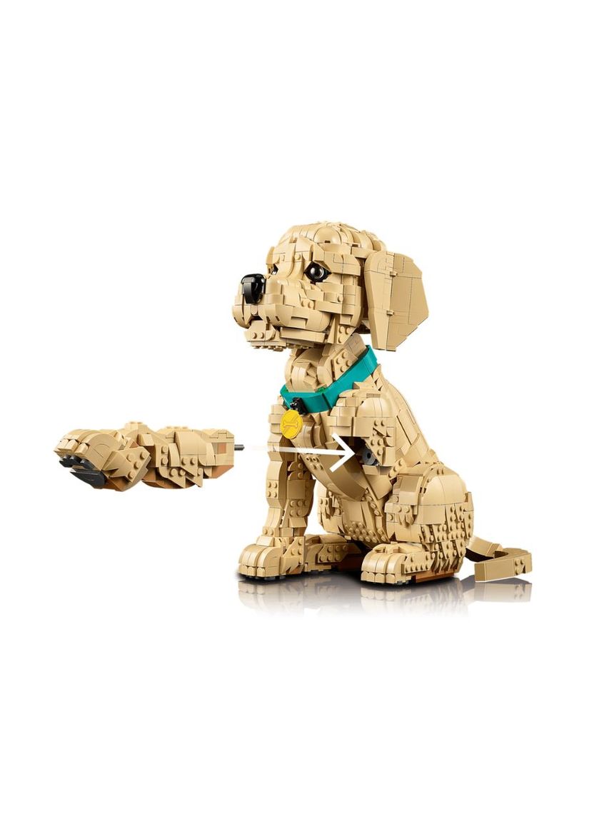 Lego icons golden retriever puppy 11384 - LEGO, LEGO Icons