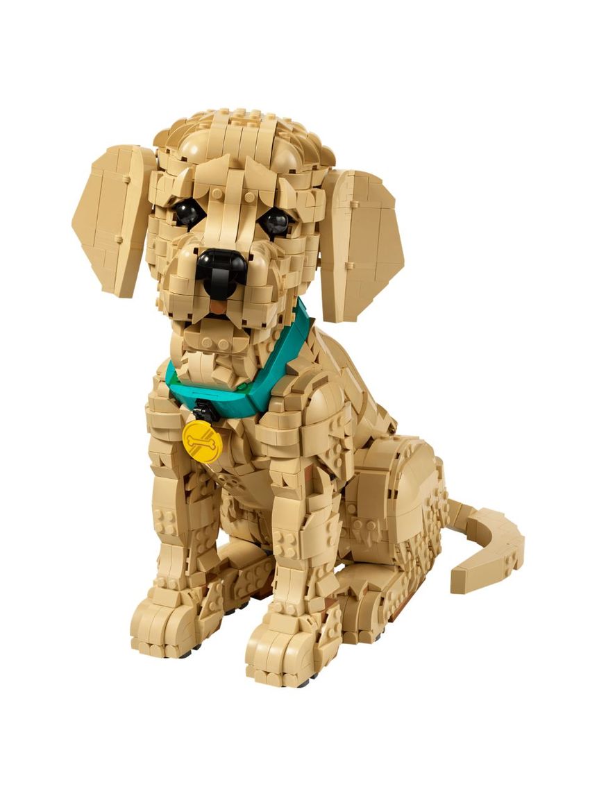 Lego icons golden retriever puppy 11384 - LEGO, LEGO Icons
