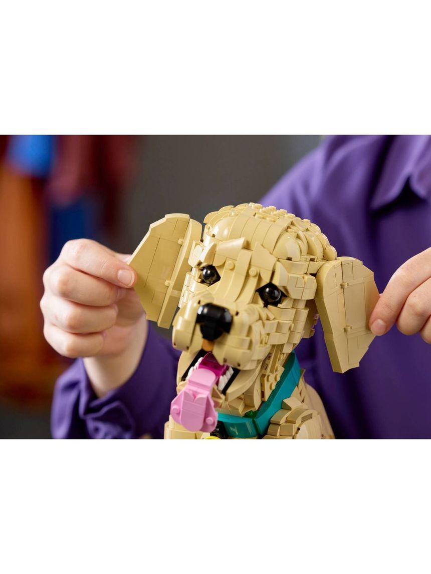 Lego icons golden retriever puppy 11384 - LEGO, LEGO Icons