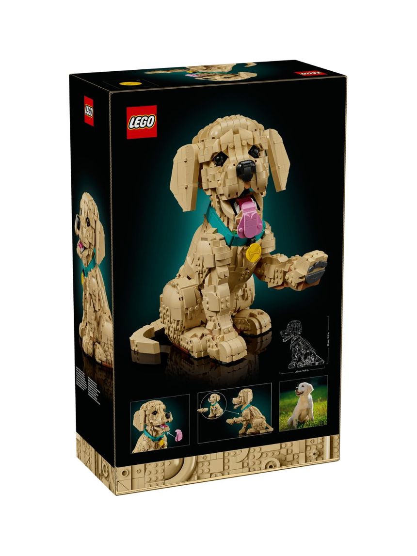 Lego icons golden retriever puppy 11384 - LEGO, LEGO Icons