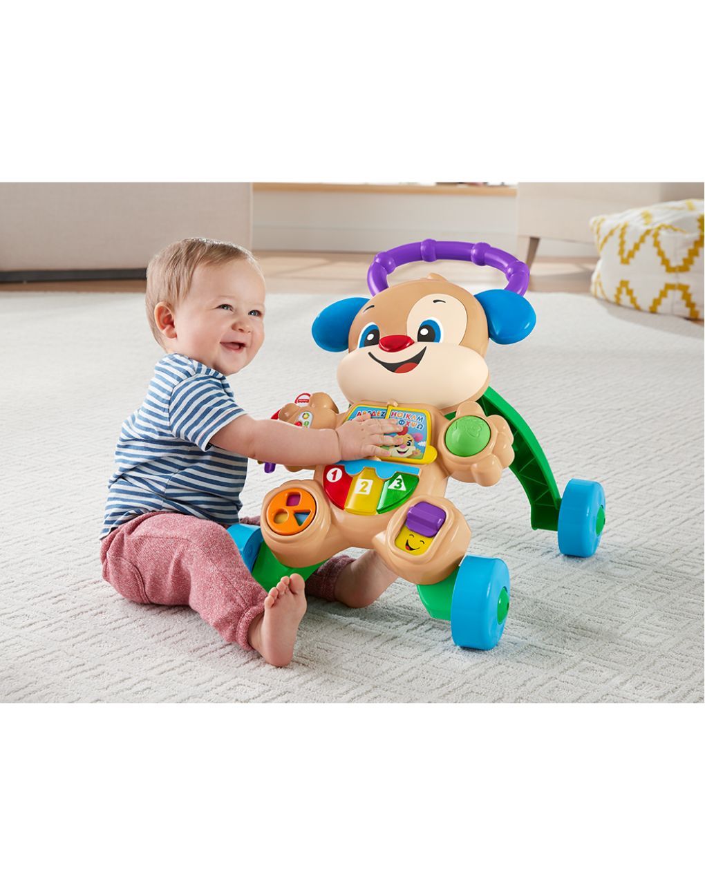Mattel fisher-price εκπαιδευτική στράτα σκυλάκι smart stages ftc66 - Fisher-Price