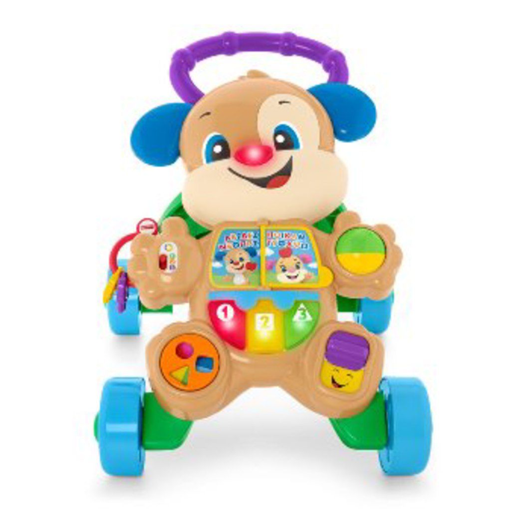 Mattel fisher-price εκπαιδευτική στράτα σκυλάκι smart stages ftc66 - Fisher-Price