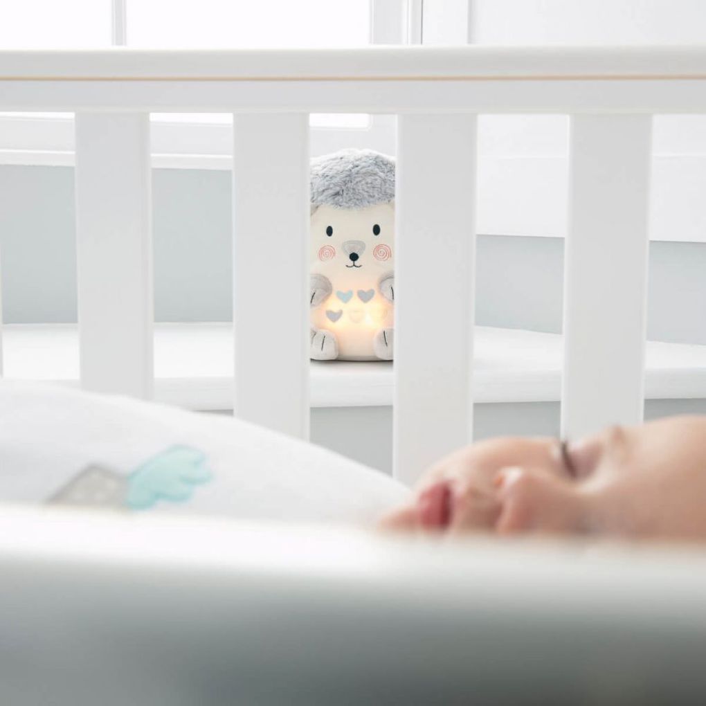 Gro company henry ο σκατζόχοιρος - The Gro Company