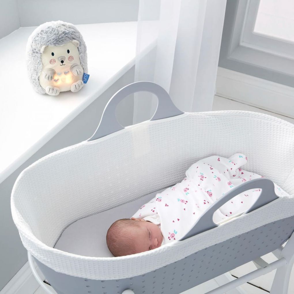 Gro company henry ο σκατζόχοιρος - The Gro Company