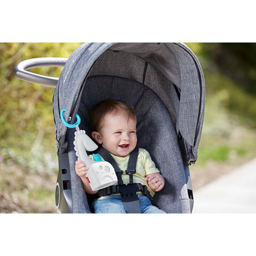 Fisher price μουσικη φορητη καμηλοπαρδαλη - Fisher-Price