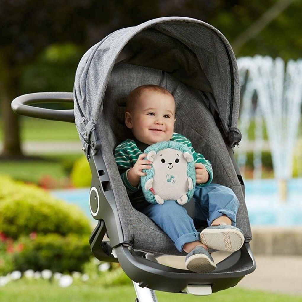 μαλακο σκαντζοχοιρακι με μουσικη & δονης - Fisher-Price
