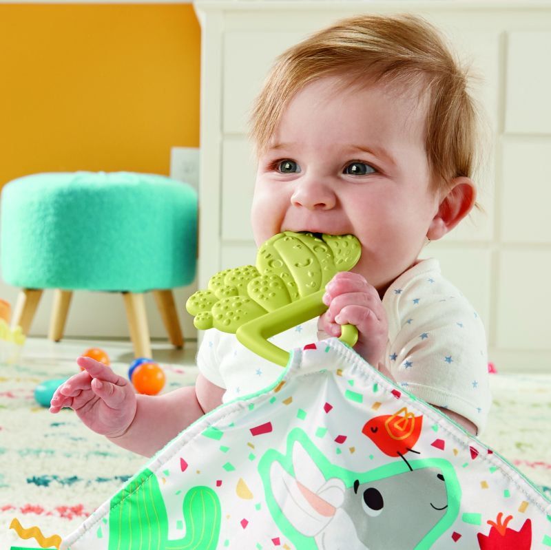 Fisher price πανάκι οδοντοφυίας κάκτος gjd38 - Fisher-Price