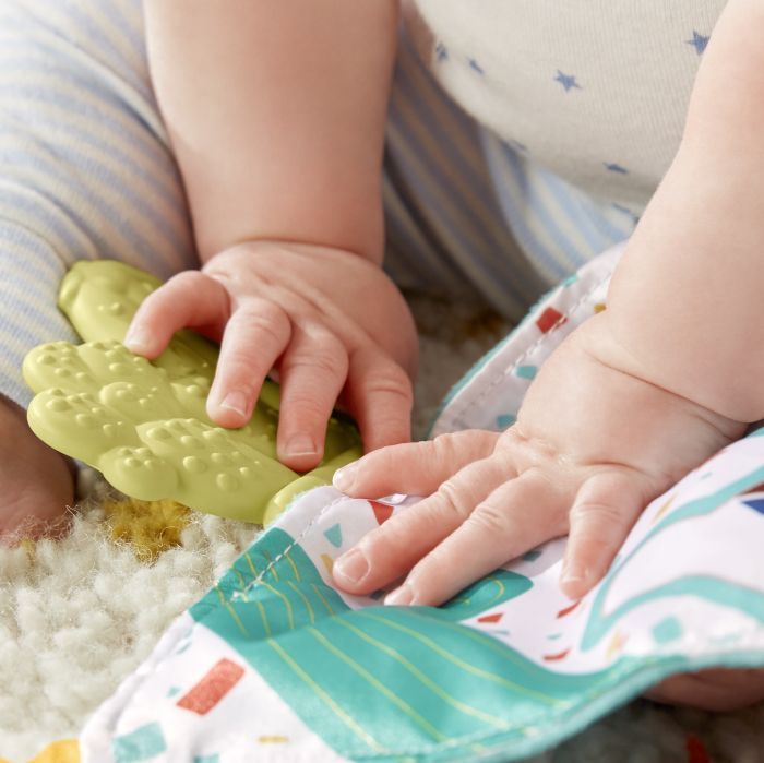 Fisher price πανάκι οδοντοφυίας κάκτος gjd38 - Fisher-Price