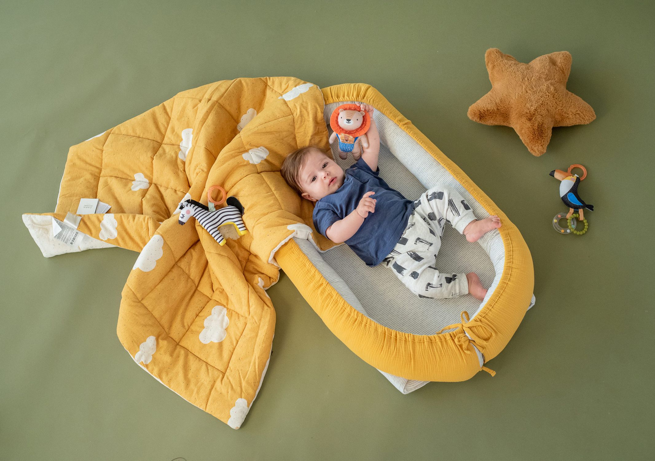 Taf toys βρεφικό παιχνίδι με κουδουνίστρα harry the lion t-12675 - Taf-toys