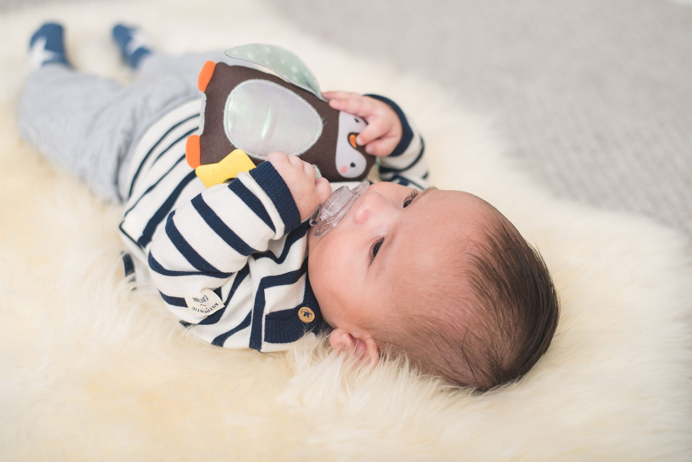 Taf toys κουδουνίστρα πιγκουίνος t-12305 - Taf-toys