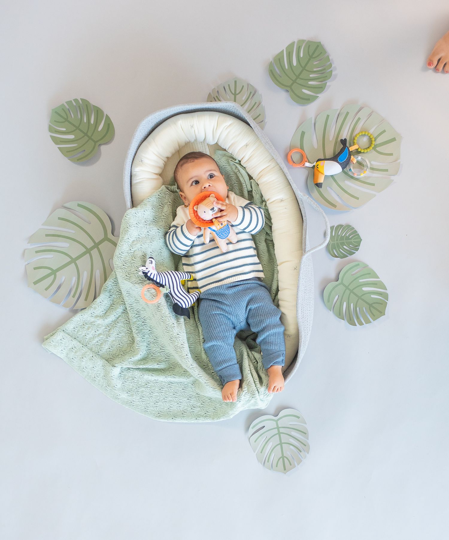 Taf toys βρεφικό παιχνίδι με κουδουνίστρα harry the lion t-12675 - Taf-toys