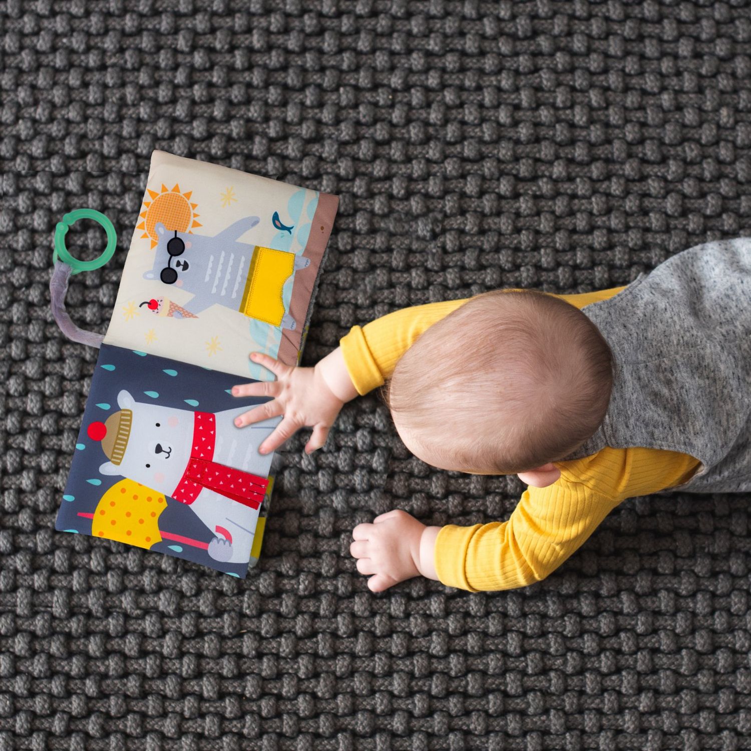 Taf toys εκπαιδευτικό βιβλιαράκι what does paul wear t-12605 - Taf-toys