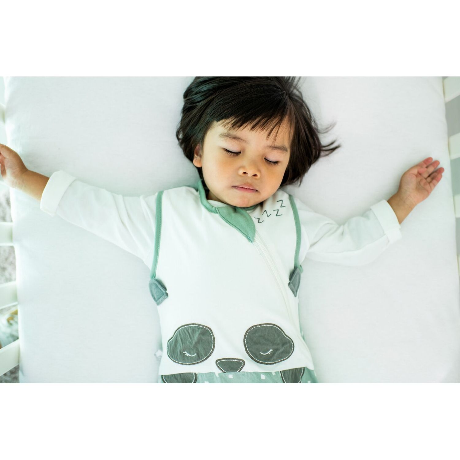 Gro υπνόσακος sleepbag χειμερινός 2.5 tog sleeping pip 6-36 μηνών - The Gro Company