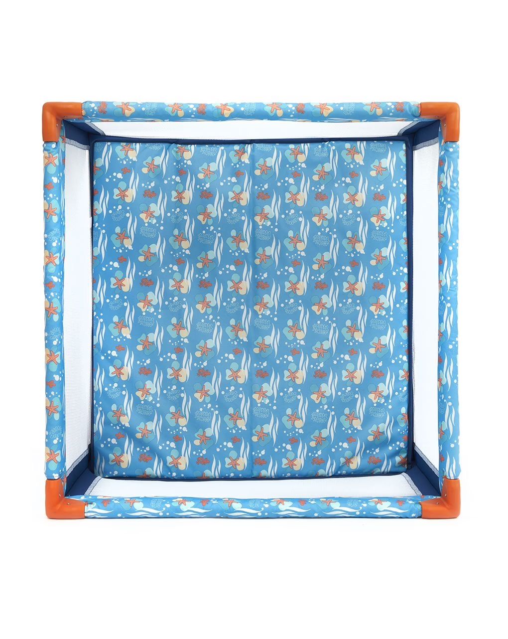 Giordani πάρκο ocean starfish squared - Giordani