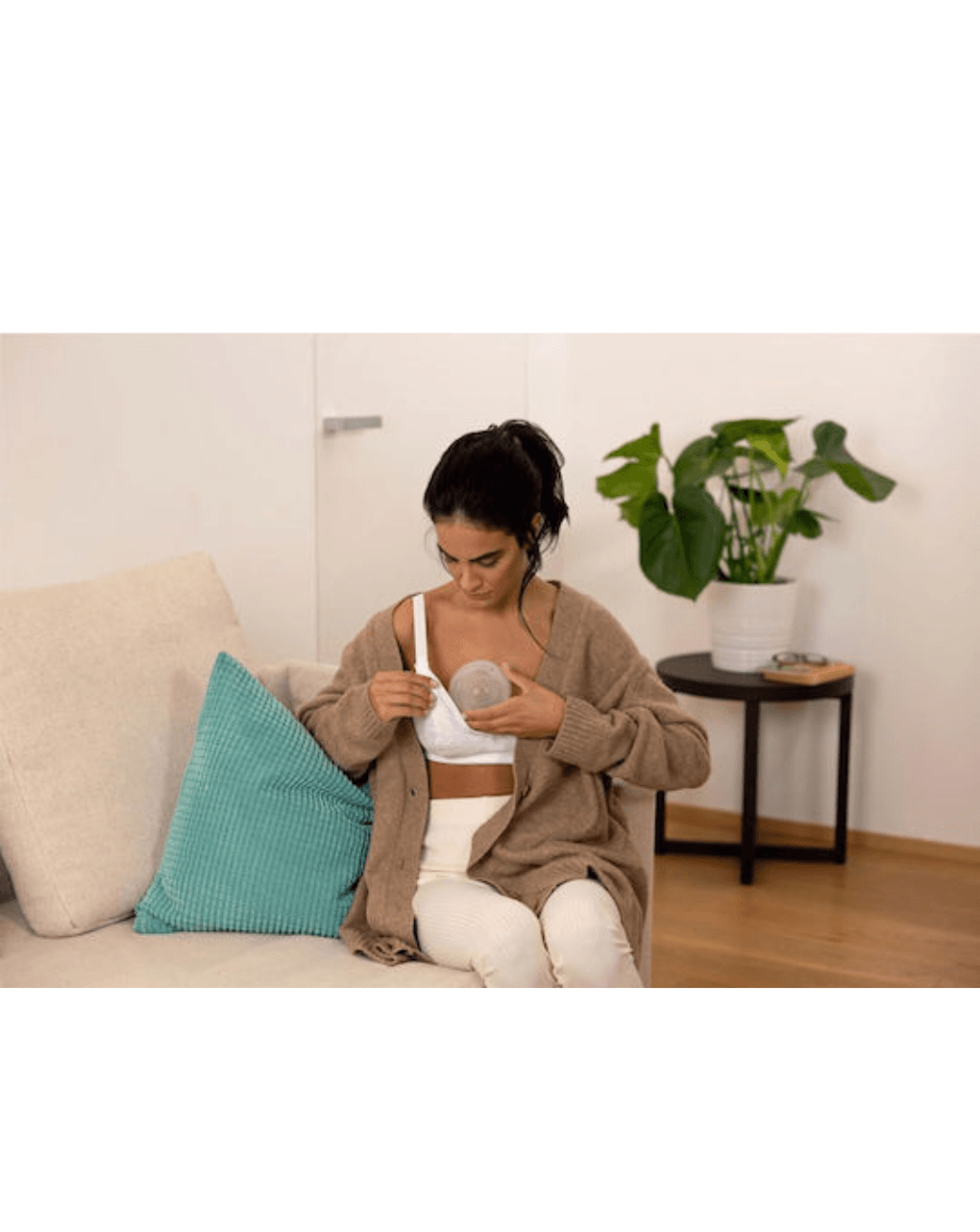 Chicco breast shells προστατευτικά κοχύλια συλλογής μητρικού γάλακτος 2τεμ - Chicco