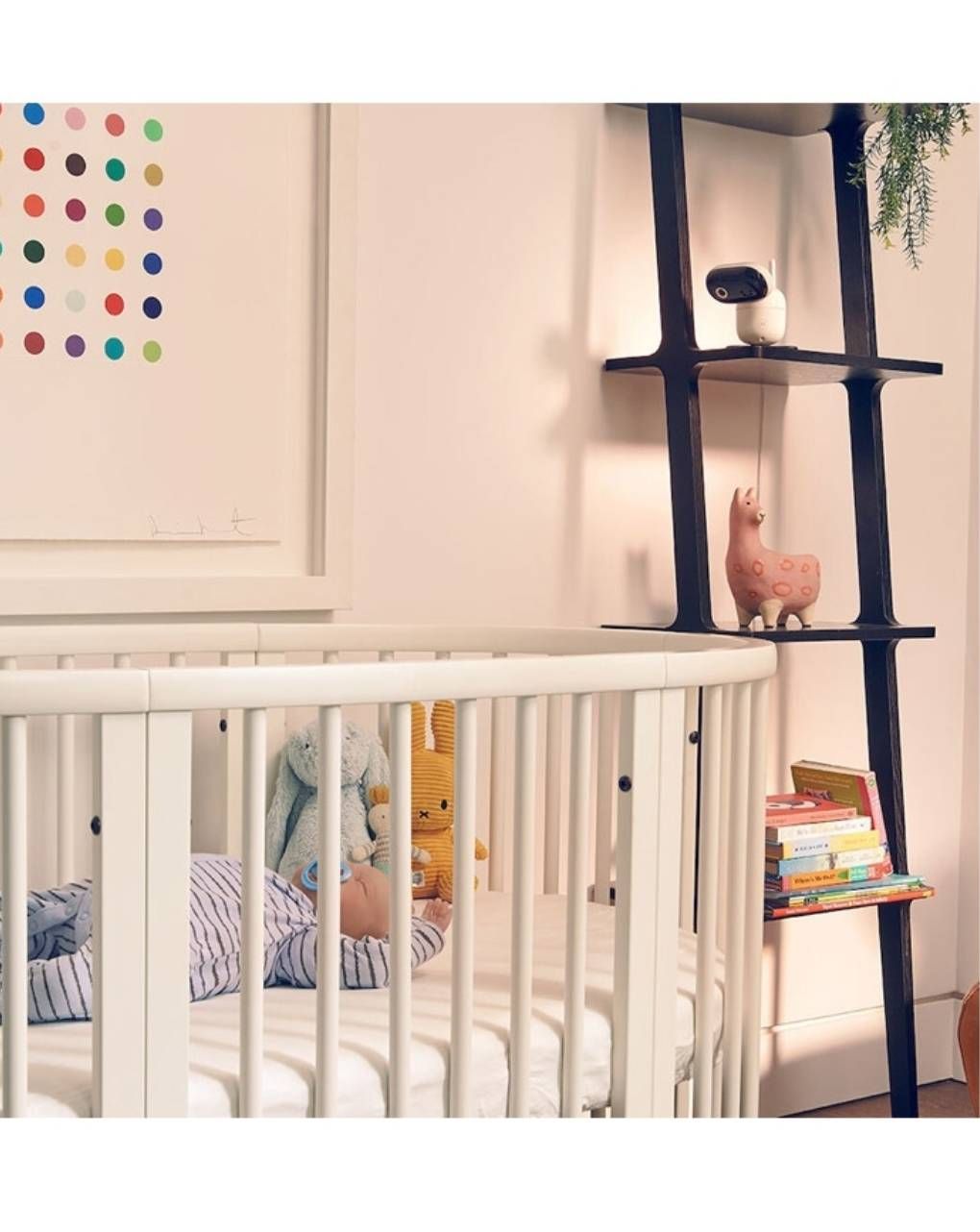 Motorola συσκευή παρακολούθησης μωρού wi-fi με κάμερα pip1010 - Motorola