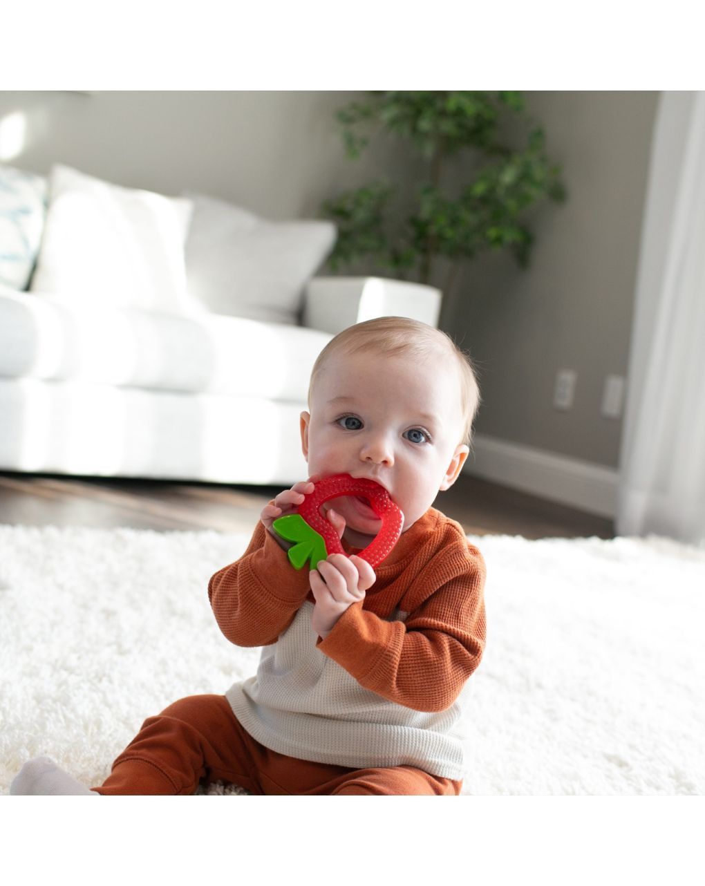 Dr. brown's δροσιστικός κρίκος οδοντοφυΐας 3m+ μήλο 112.70.1hc.390 - Dr Browns