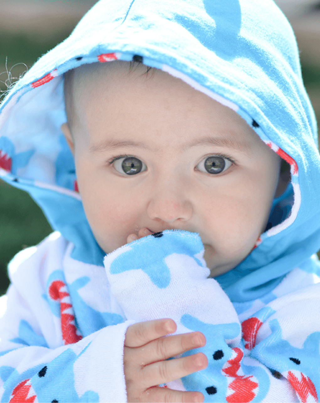 Zoocchini πόντσο θαλάσσης upf50+ sherman the shark για αγόρι - Zoocchini