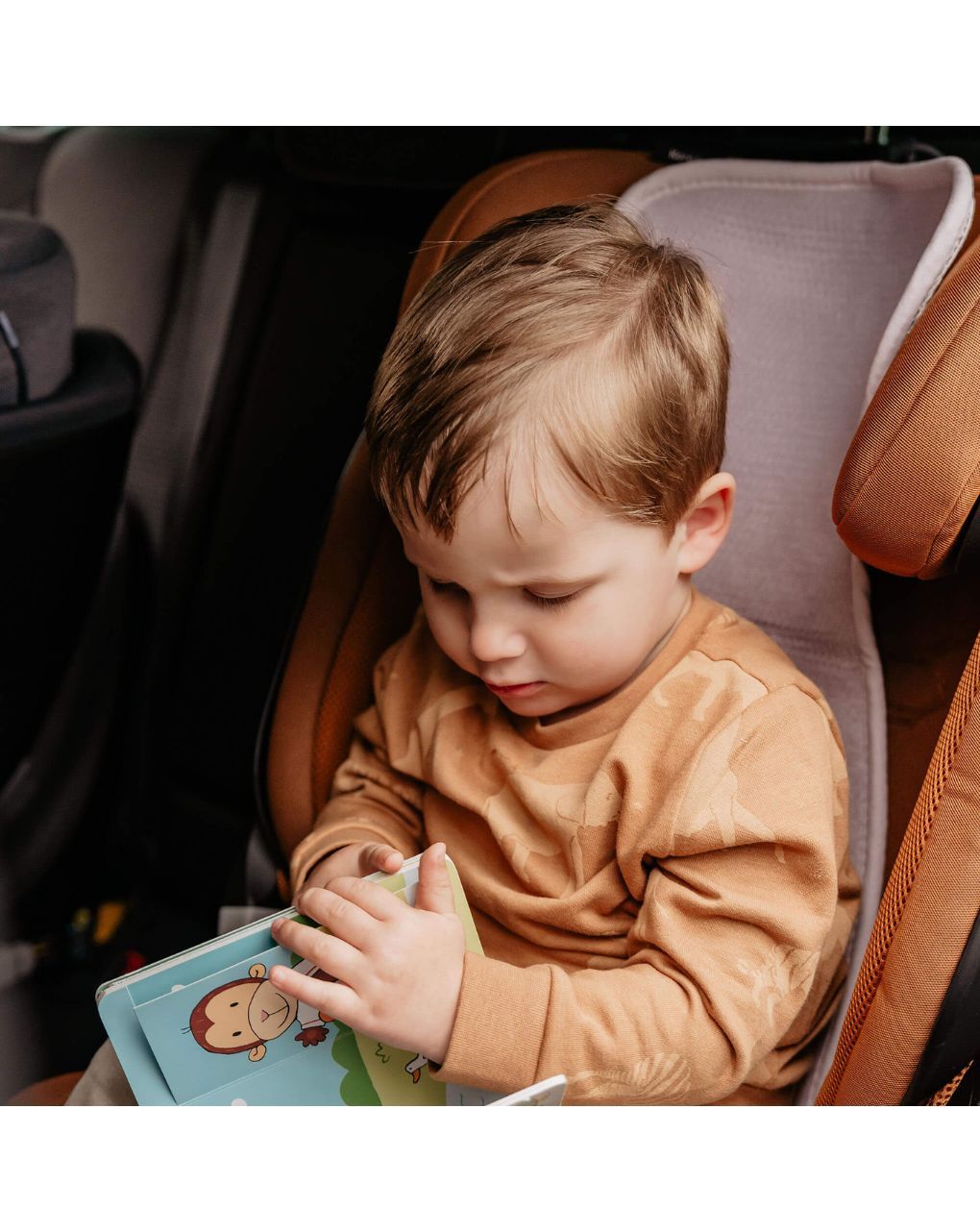 Aeromoov air layer classic αντιιδρωτικό κάλυμμα καθίσματος αυτοκινήτου group 2-3 (15-36kg) lilac - Aeromoov