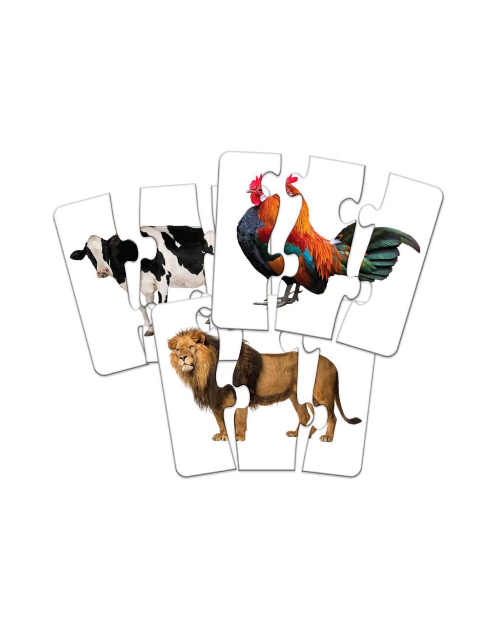 παζλ ταίριαξέ το: κεφάλι με ουρά - THE LEARNING JOURNEY