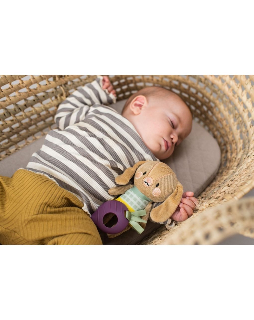 Taf toys κρεμαστό λούτρινο jenny bunny t-12995 - Taf-toys