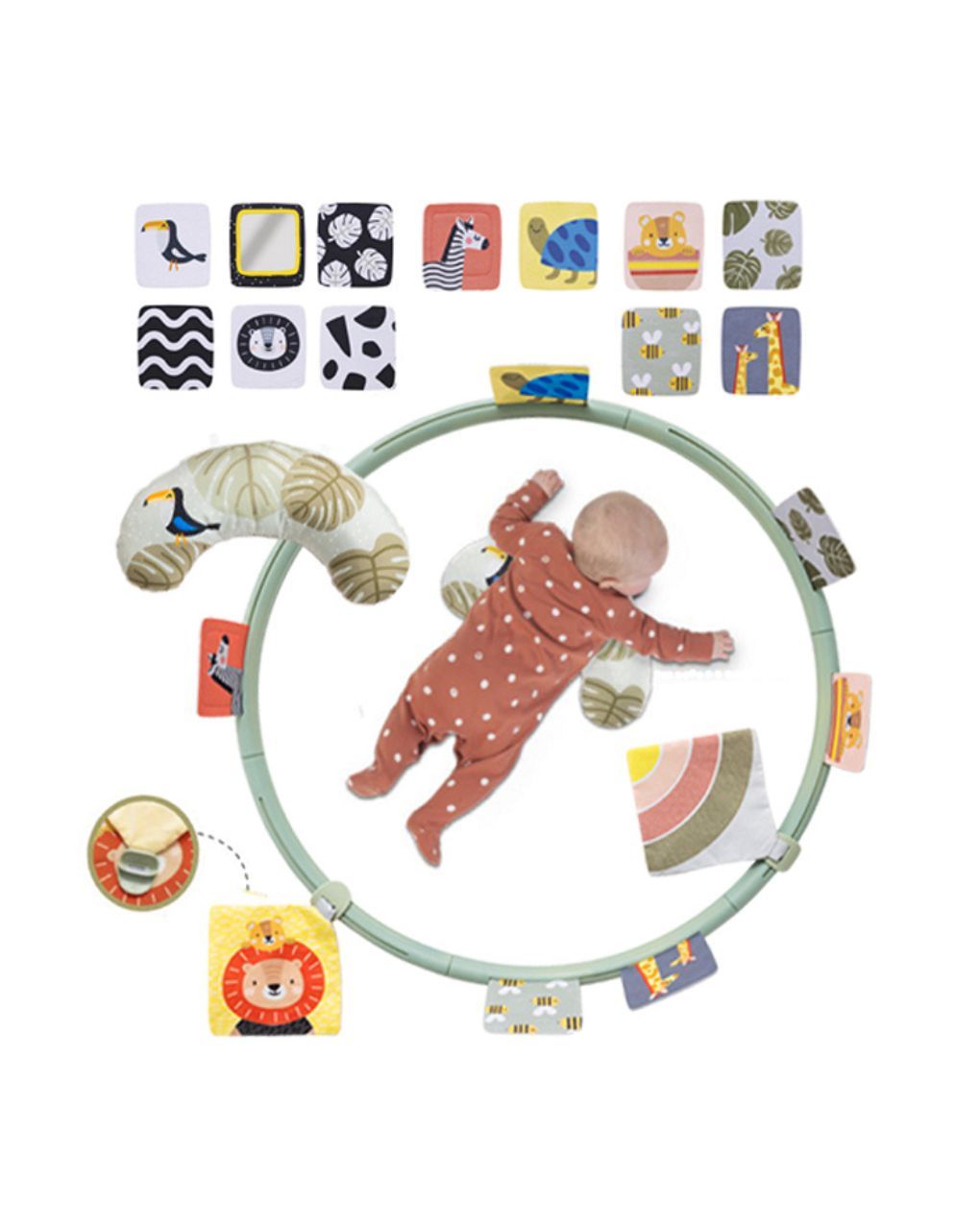 Taf toys tummy time trainer t-12945