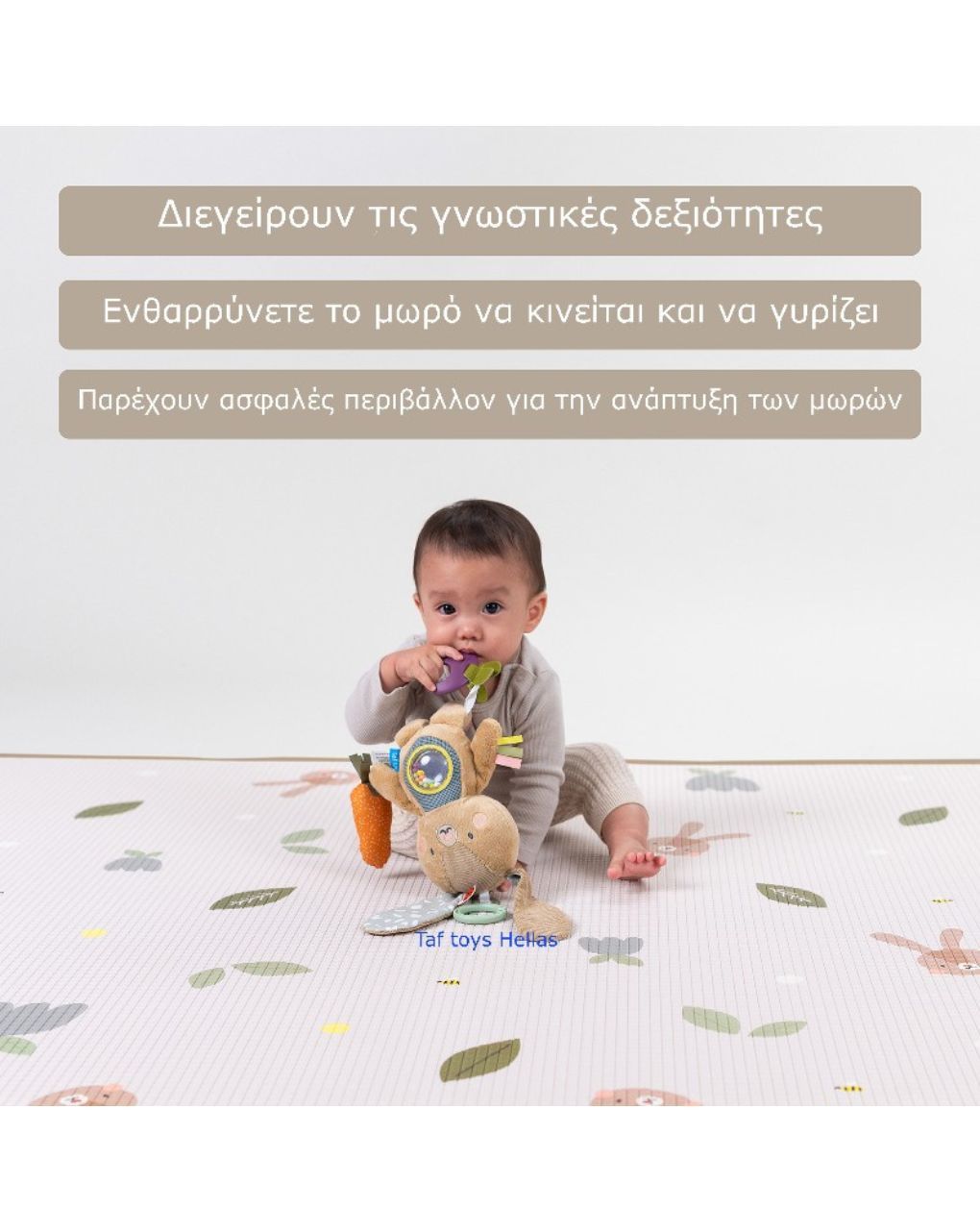 Taf toys χαλάκι δραστηριοτήτων roll & play t-13365 - Taf-toys